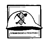 ORGANIZACAO E PROGRESSO