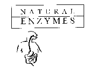 NATURAL ENZYMES
