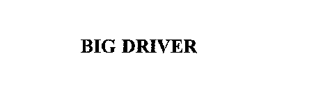 BIG DRIVER