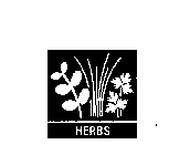 HERBS