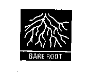 BARE ROOT