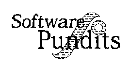 SOFTWARE PUNDITS