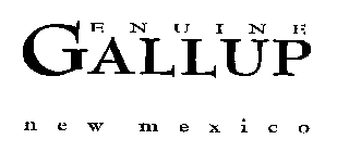GENUINE GALLUP NEW MEXICO