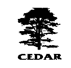 CEDAR