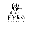 PYRO RECORDS