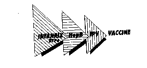 INFANRIX DTPA-HEPB-IPV-VACCINE