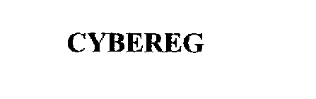 CYBEREG