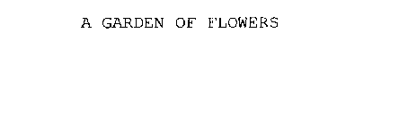 A GARDEN OF FLOWERS