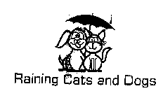 RAINING CATS AND DOGS