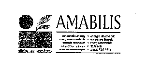 AMABILIS RENEWABLE ENERGY