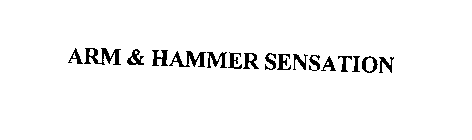 ARM & HAMMER SENSATION