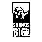 SOUNDSBIG.COM