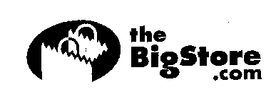 THE BIGSTORE.COM