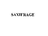 SAXIFRAGE
