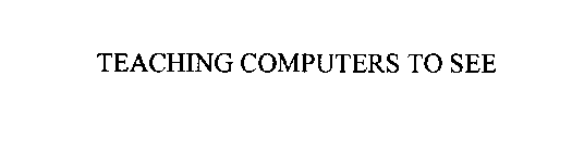 TEACHING COMPUTERS TO SEE