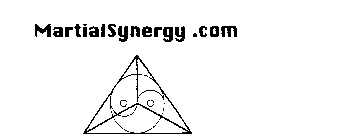 MARTIALSYNERGY.COM