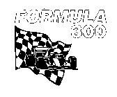 FORMULA 300