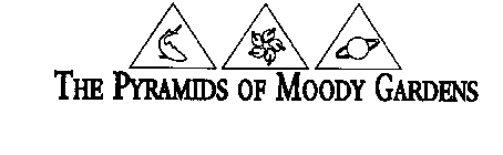 THE PYRAMIDS OF MOODY GARDENS