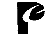 PE