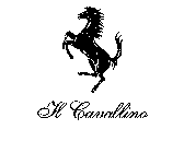 IL CAVALLINO