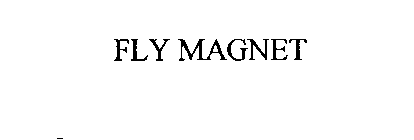 FLY MAGNET