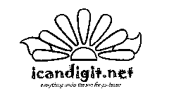 ICANDIGIT.NET