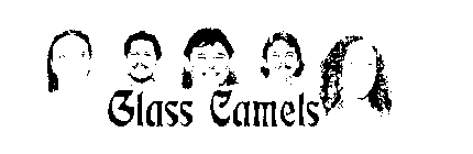 GLASS CAMELS