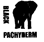BLACK PACHYDERM