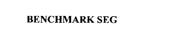 BENCHMARK SEG