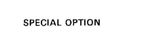 SPECIAL OPTION