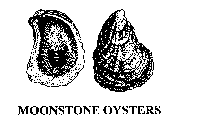 MOONSTONE OYSTERS