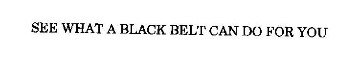 SEE WHAT A BLACK BELT CAN DO FOR YOU
