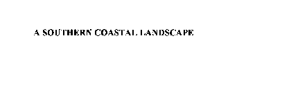 A SOUTHERN COASTAL LANDSCAPE