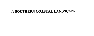 A SOUTHERN COASTAL LANDSCAPE