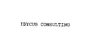 IBYCUS CONSULTING