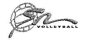 SN VOLLEYBALL