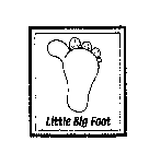 LITTLE BIG FOOT