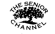 THE SENIOR CHANNEL