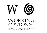 WORKING OPTIONS LLC AT THE MANAGEMENT LEVEL