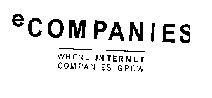 ECOMPANIES WHERE INTERNET COMPANIES GROW