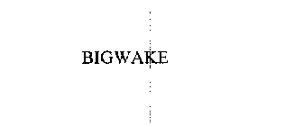 BIGWAKE