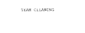 TEAM CLEANING