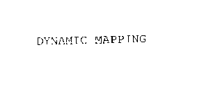 DYNAMIC MAPPING