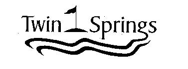 TWIN SPRING