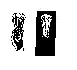 Image Trademark