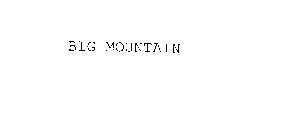 BIG MOUNTAIN