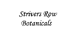 STRIVERS ROW BOTANICALS