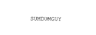 SUMDUMGUY