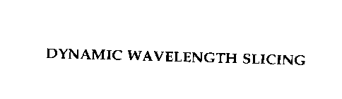 DYNAMIC WAVELENGTH SLICING