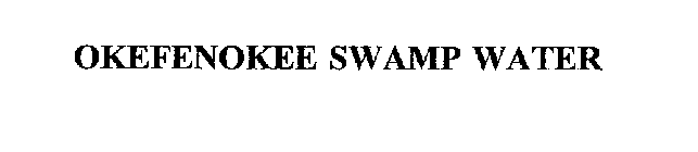 OKEFENOKEE SWAMP WATER